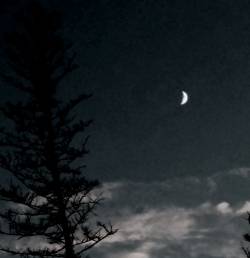 Ad'hurim : Untitled V Ad'hurim : Untitled V